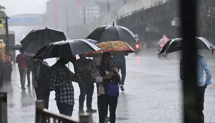 Mumbai Witnesses Second-Wettest July: 150 cm Rain and Counting- How Overflowing Lakes are Boosting Water Stocks in the City